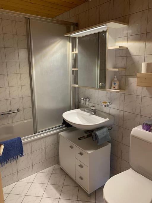 Dachwohnung Zentrum Unterwasser Екстер'єр фото